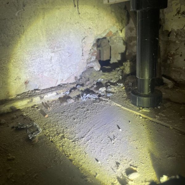 Elimination of rodent entry points1