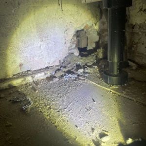 Elimination of rodent entry points1