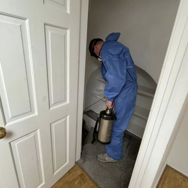 Exterminating fleas, Spraying