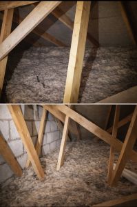 New Uncontaminated Insulation, Pest Free