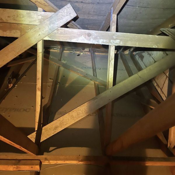 Old Insulation Removal