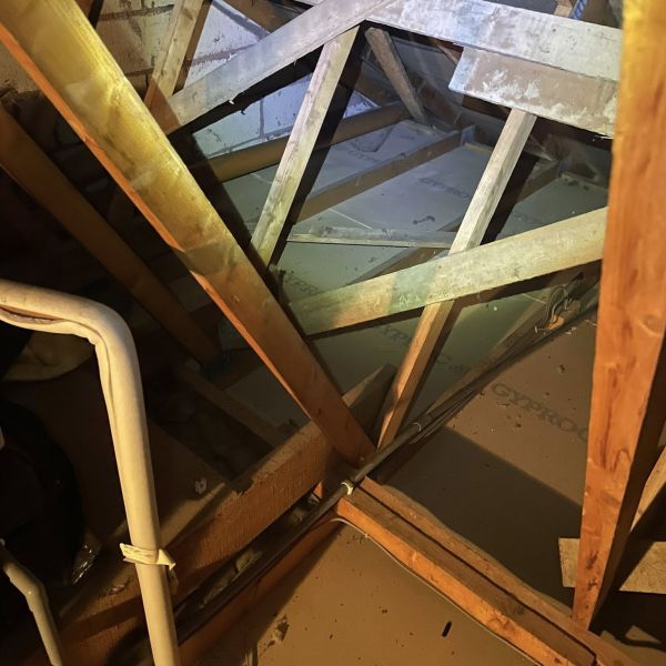 Old Pest Contaminated Insulation Removal