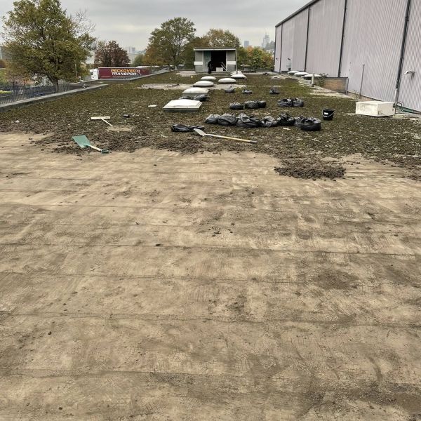 Halfway through cleaning moss and soil