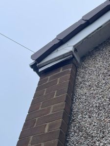 Squirrel entry point