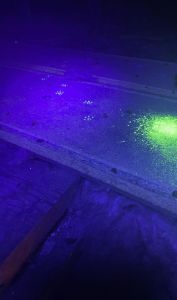 UV Tracking dust to track rats and mice travel