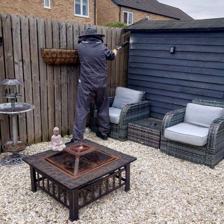 Wasp treatment in Stamford Bridge