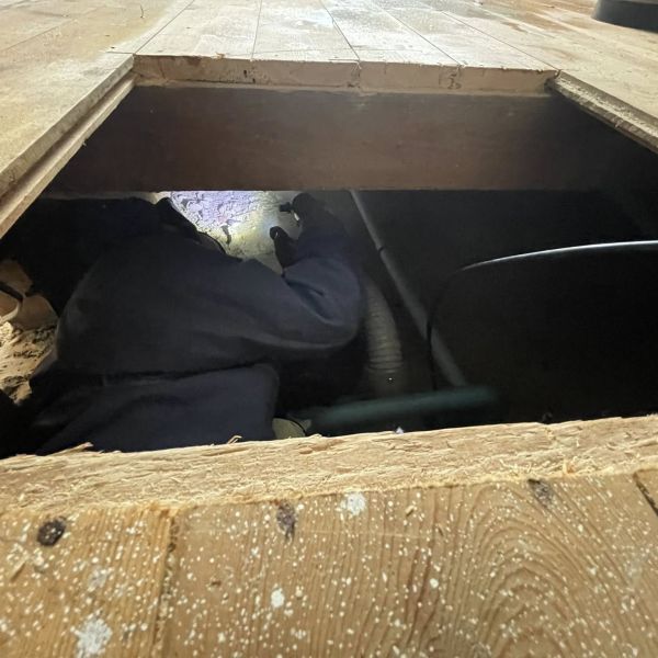 Woodworm Treatment Underneath Floorboards 