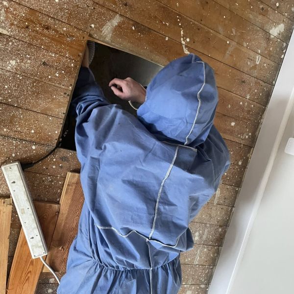 Woodworm Treatment Under The Property 